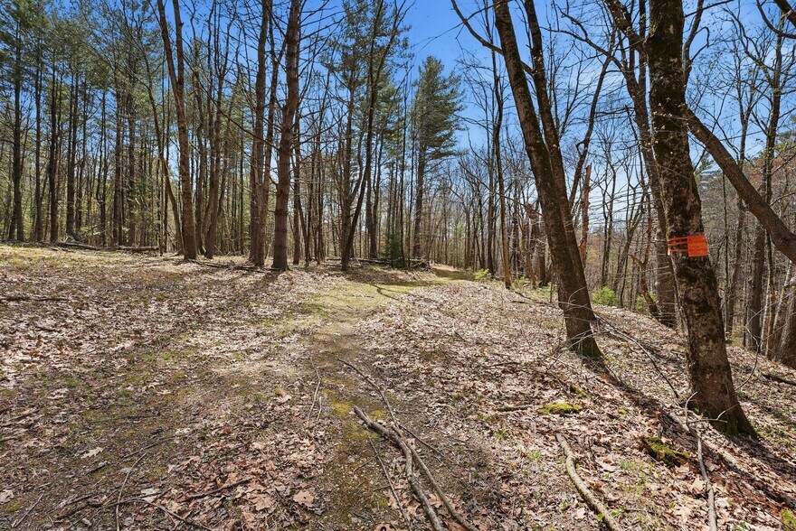 More Photos Of 0 Dry Hill Road, Montague Land For Sale