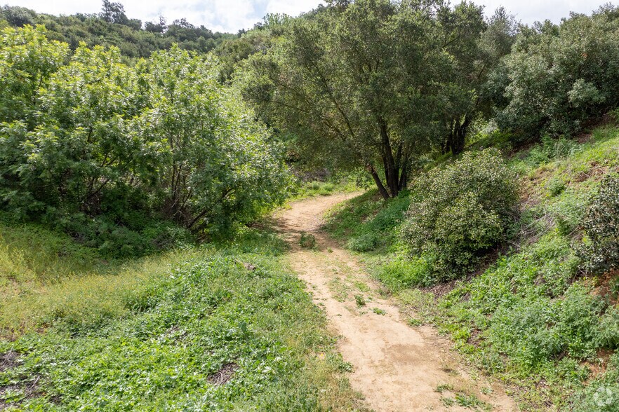 Primary Photo Of 540 Carbon Canyon Rd, Chino Hills Land For Sale