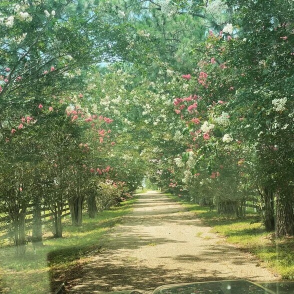 More Photos Of 2504 SH-304, Smithville Warehouse For Sale