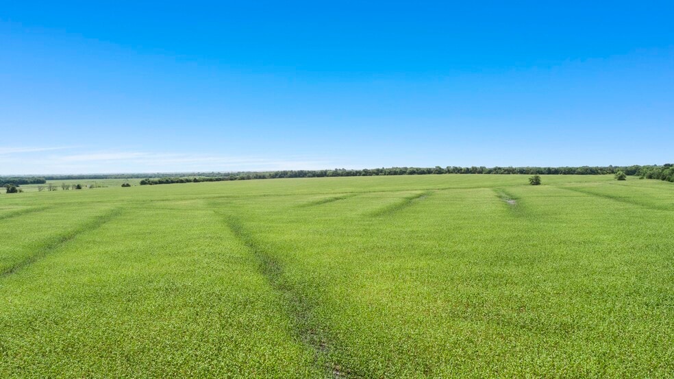 More Photos Of CR-1067, Greenville Land For Sale