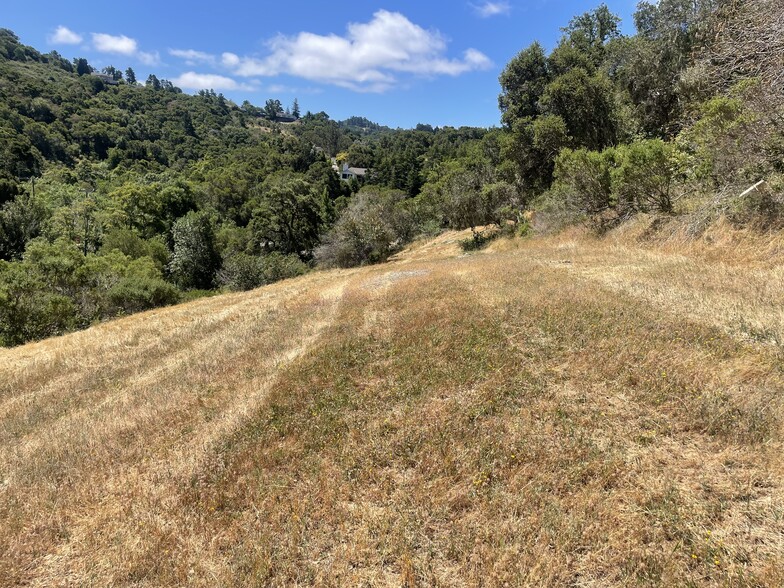 Primary Photo Of Tartan Trail Road, Hillsborough Land For Sale