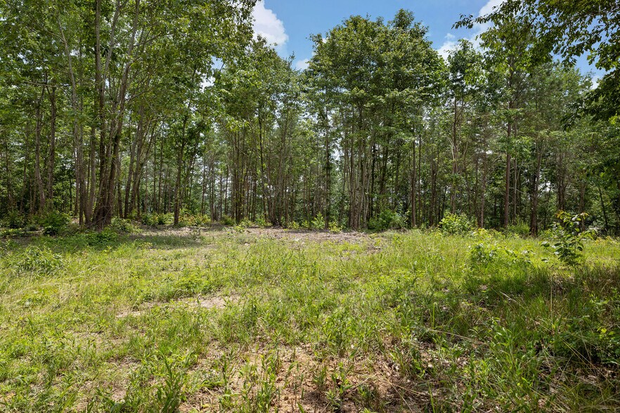 More Photos Of 1129 Sloan dr, Blountsville Land For Sale