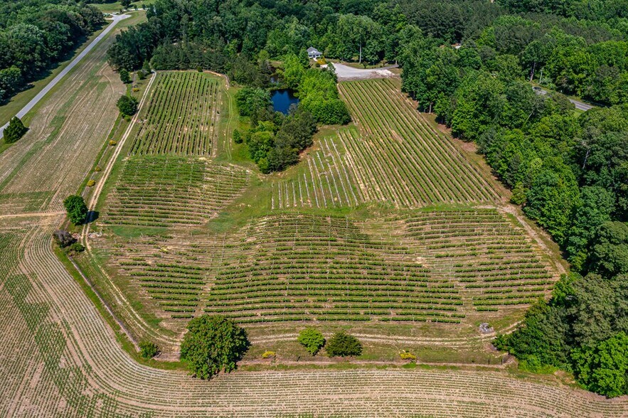 More Photos Of 3138 Jessie DuPont Memorial Hwy, Heathsville Winery Vineyard For Sale