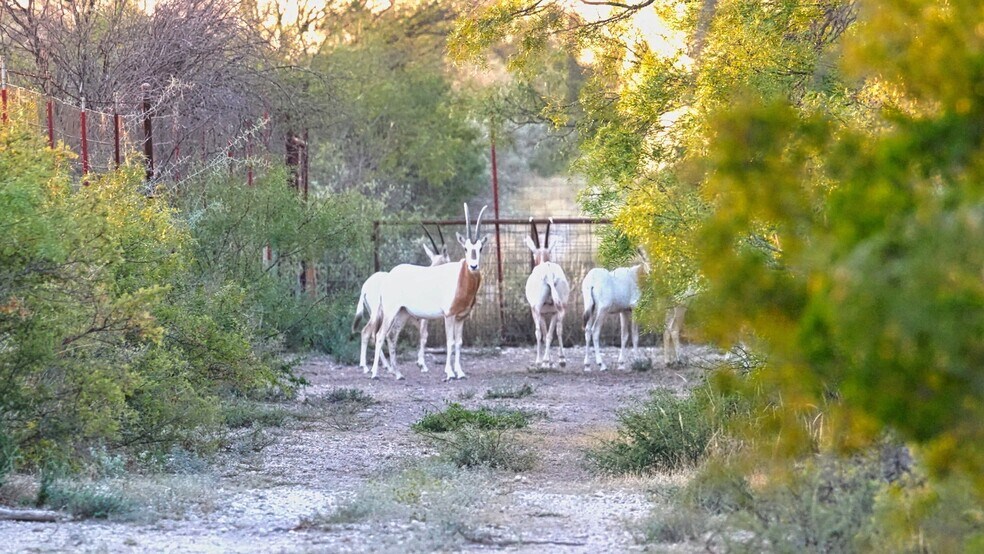 More Photos Of 000 Ranch to Market 3008, Brackettville Land For Sale