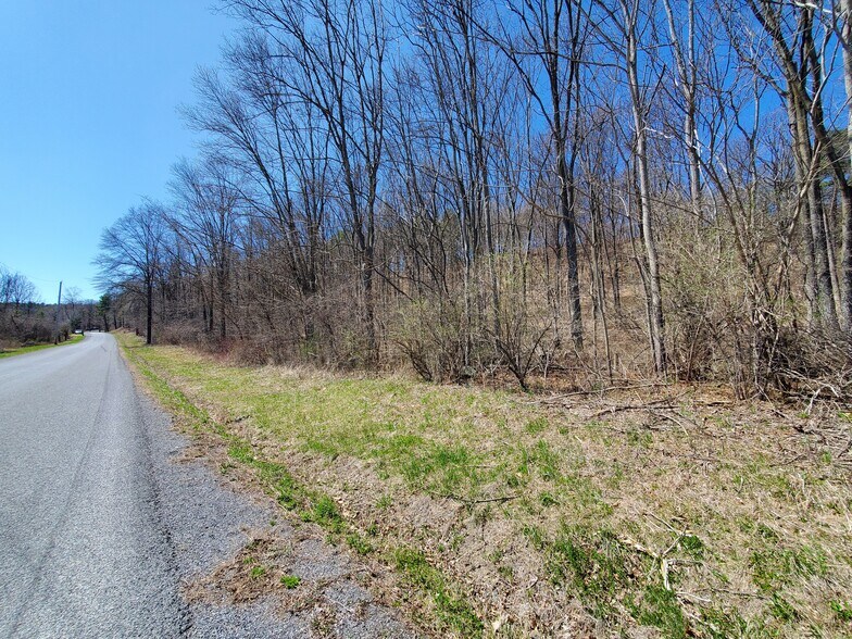 More Photos Of Lot 29 Lot 29 Old Plank Rd. Rd, Coxsackie Land For Sale