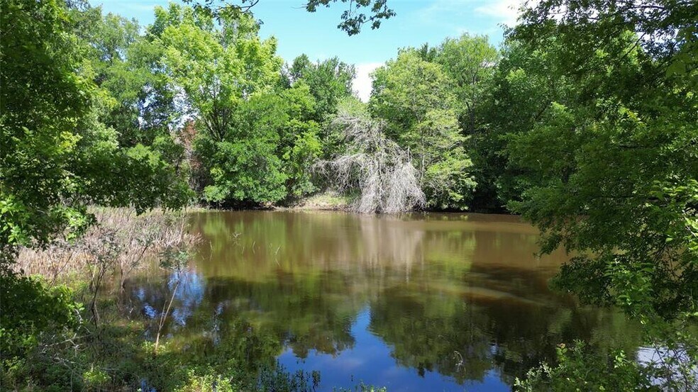 More Photos Of 1899 TX-21, Paige Land For Sale