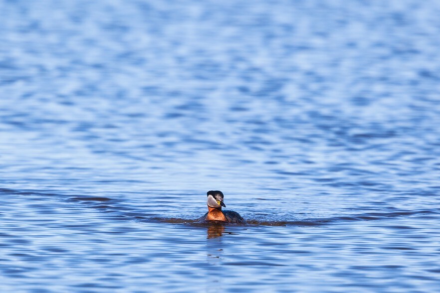 More Photos Of 5880 FM 2862, Anna Land For Sale