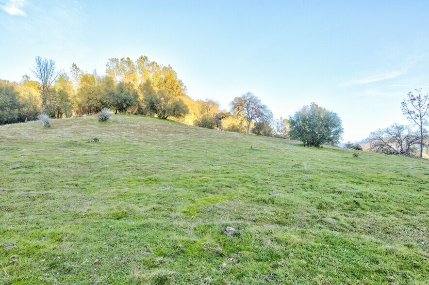 More Photos Of 50871 Road 200, O Neals Land For Sale