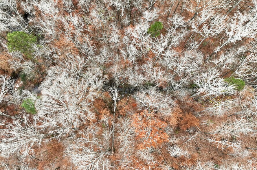 More Photos Of 4765 Warwick Dr, Gainesville Land For Sale