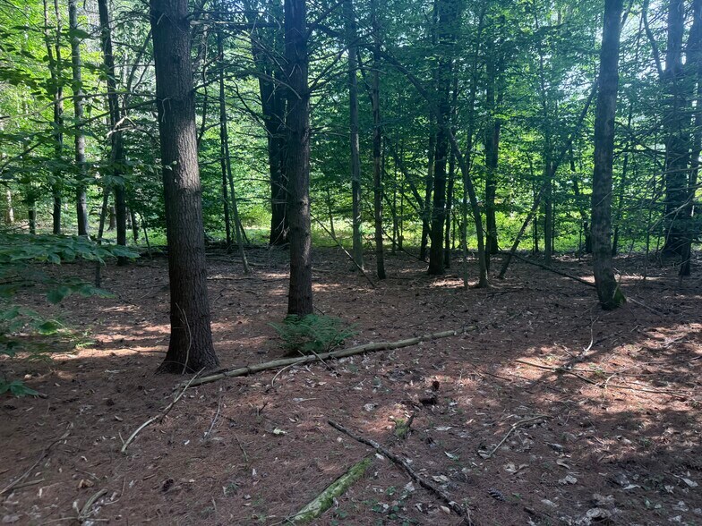 More Photos Of 375 Ormsbee Rd, Porter Corners Land For Sale