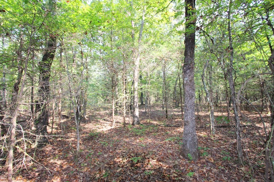 More Photos Of 226 Blythe rd, Greenbrier Land For Sale