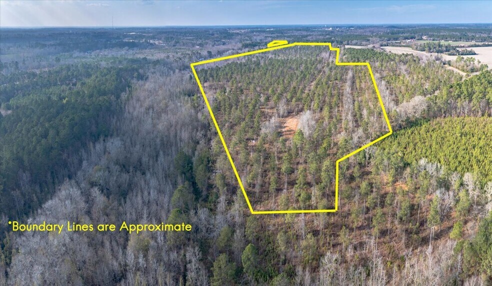 More Photos Of 3246 Belleville Rd, Orangeburg Land For Sale