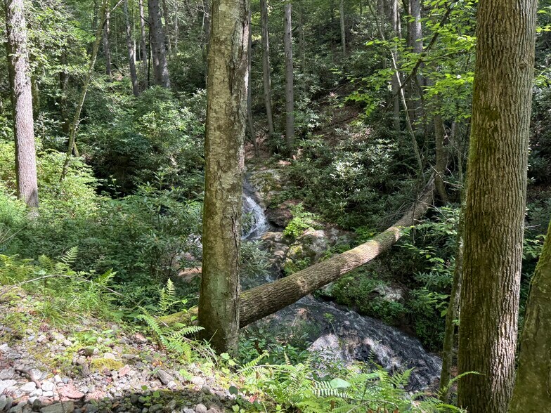 More Photos Of 1105 Fall Creek Rd, Purlear Specialty For Sale