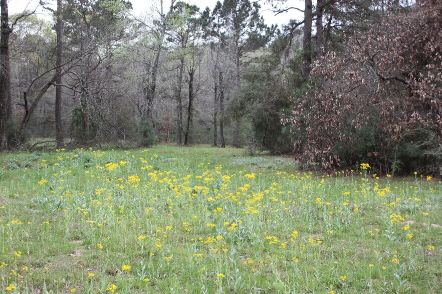 More Photos Of 16046 Honea Rd W, Montgomery Land For Sale