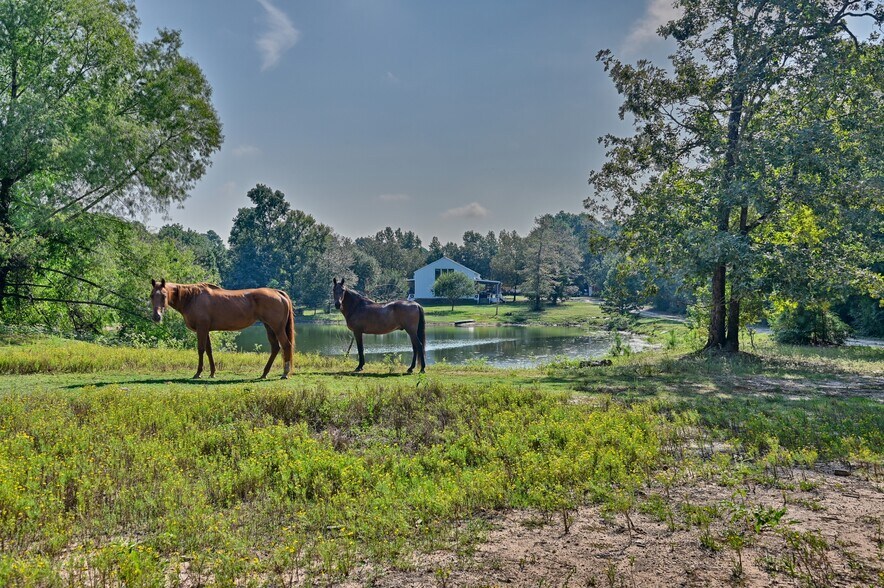 More Photos Of 3200 Lazy Riv, Montgomery Land For Sale
