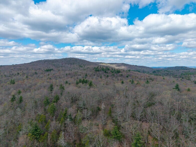 More Photos Of 291 Fomer Road, Southampton Land For Sale
