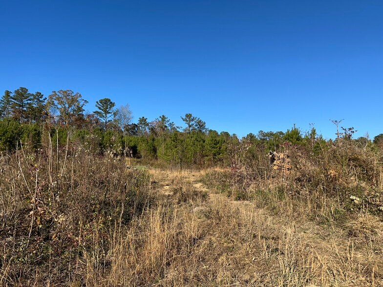 More Photos Of 0 Industrial Park dr, Wilsonville Land For Sale