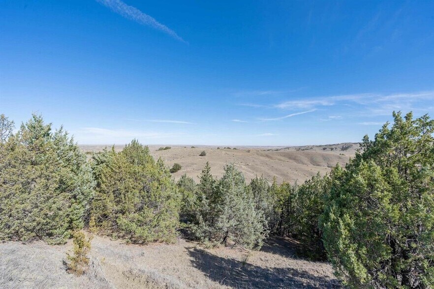 More Photos Of 21627 Hardingrove Rd, Milesville Land For Sale