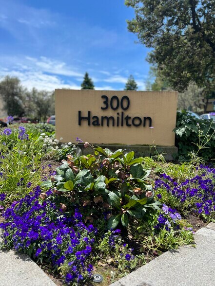 More Photos Of 300 Hamilton Ave, Palo Alto Office For Lease