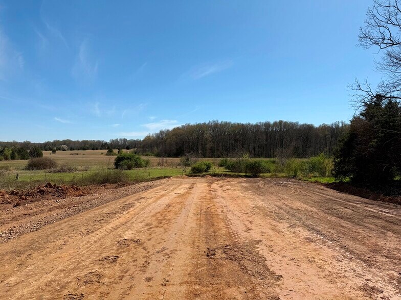 More Photos Of 278 Highway 64 E, Conway Land For Sale