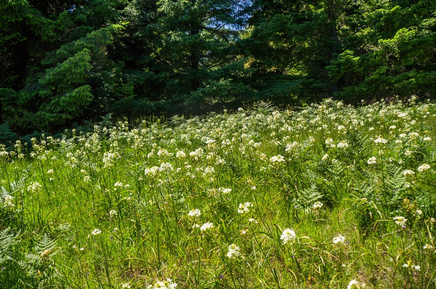 More Photos Of 16401 South Highway 1, Manchester Land For Sale