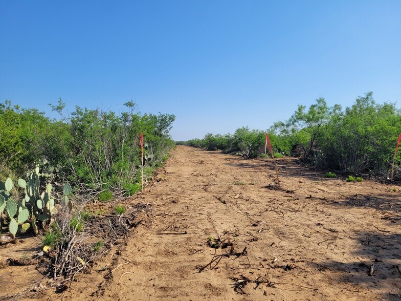More Photos Of Highway 83 North, Laredo Land For Lease