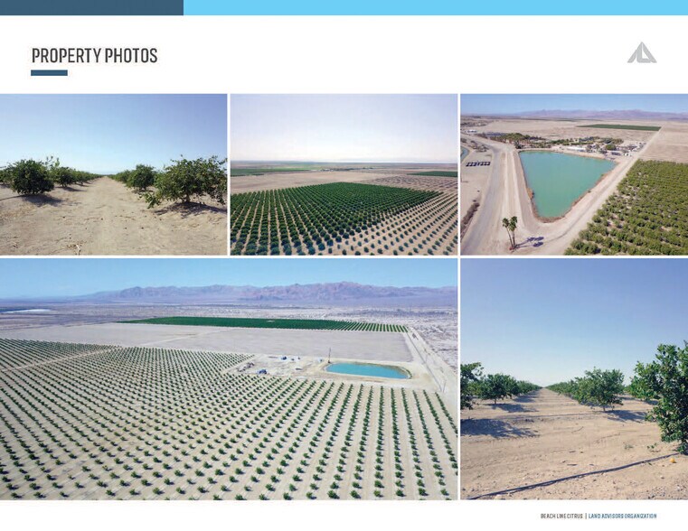 More Photos Of Wilkins Road, Niland Land For Sale