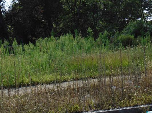 Primary Photo Of 1120 N 30th St, Birmingham Land For Sale