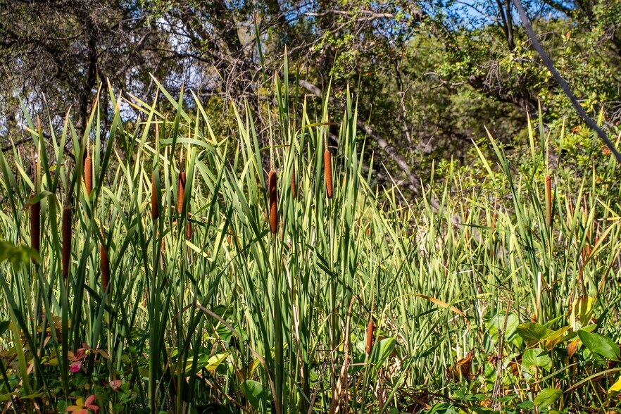More Photos Of Chili Hill Road, Newcastle Land For Sale