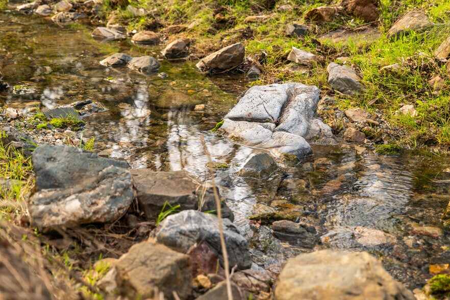 More Photos Of Skunk Gulch Rd, Vallecito Land For Sale