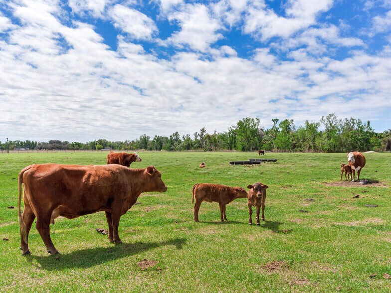 More Photos Of 15721 Colding Loop, Wimauma Land For Sale