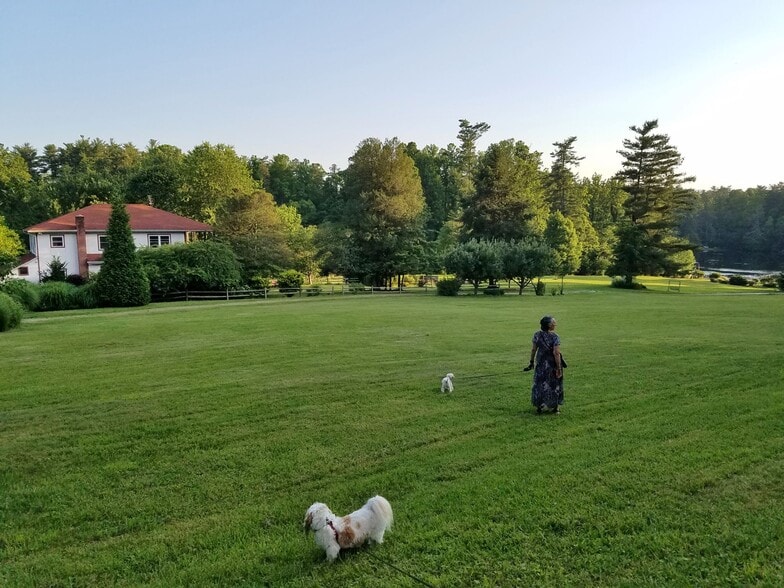 More Photos Of 86 Lily Pad Ln, Flat Rock Hotel For Sale