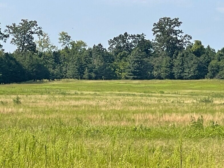 More Photos Of 17192 Co 21 rd, Marion Junction Land For Sale