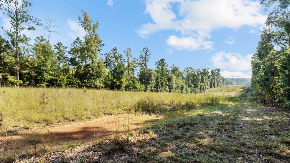 More Photos Of 2903 Steele Rd, Griffin Land For Sale