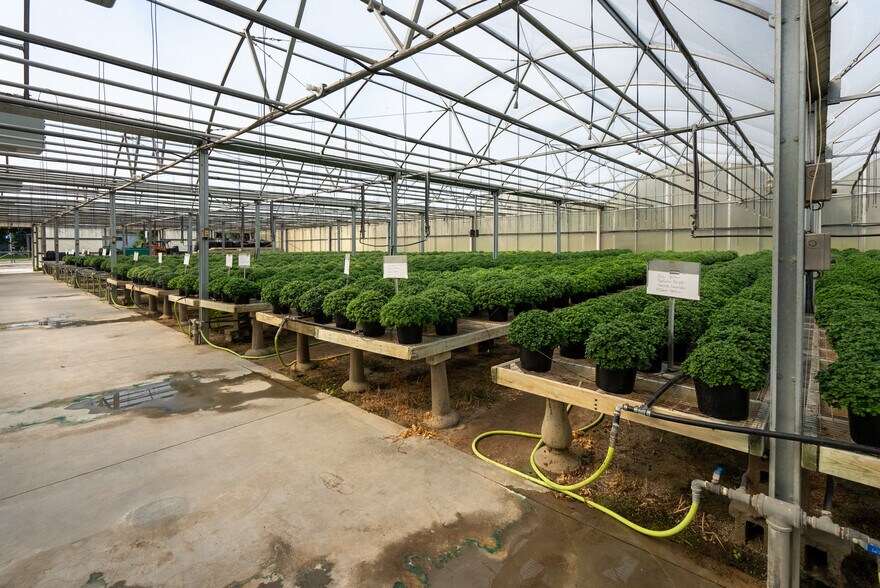 More Photos Of 180 Davis St, Croswell Garden Center For Sale