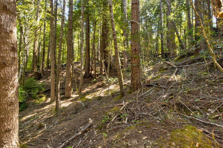 More Photos Of 33170 Frog Pond rd, Little River Land For Sale