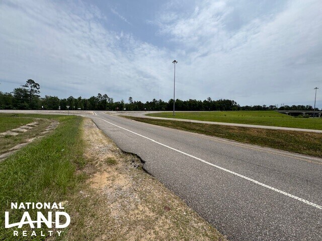 More Photos Of 0 Dead Lake Rd., Creola Land For Sale