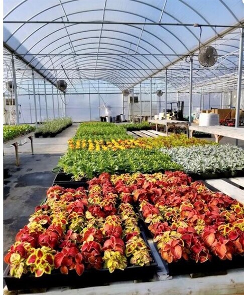 More Photos Of 32544 SC-9, Pageland Land For Sale