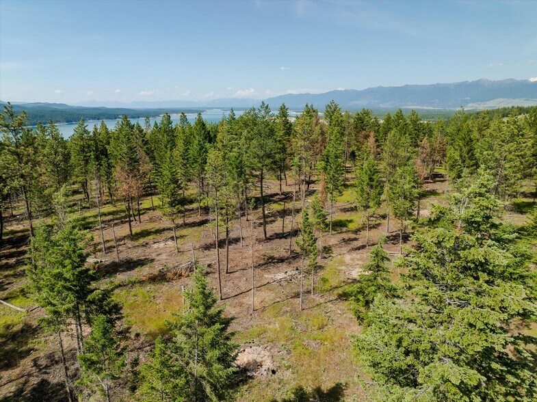 More Photos Of 327 Stone Mountain Rd, Rexford Land For Sale