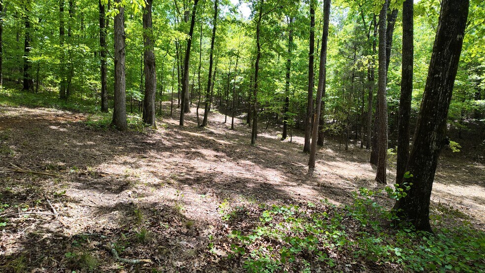 More Photos Of 0 Bullock Bridge Rd, Monroe Land For Sale