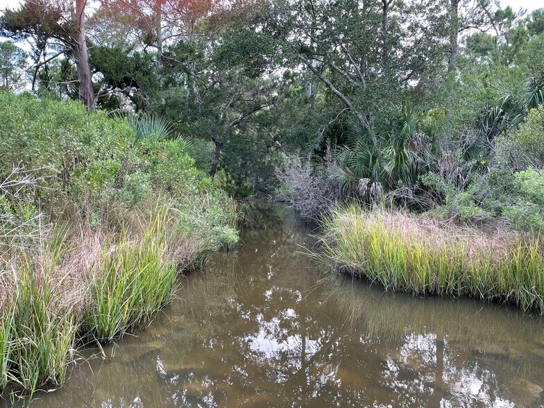 More Photos Of 0 King Rail Lane, Edisto Island Land For Sale