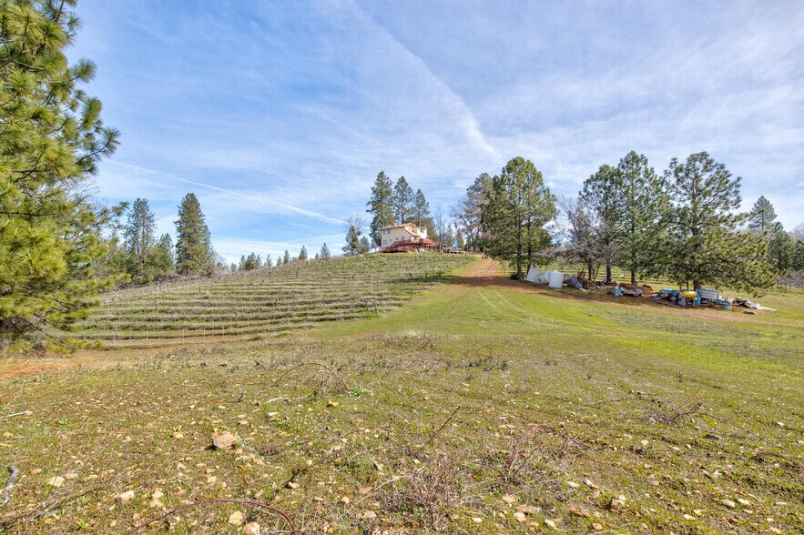 More Photos Of 4771 Greenhills Rd, Placerville Winery Vineyard For Sale