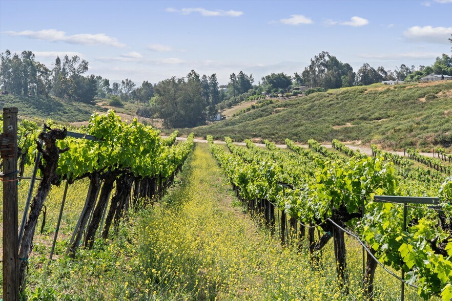 More Photos Of 41220 Calle Contento, Temecula Winery Vineyard For Sale