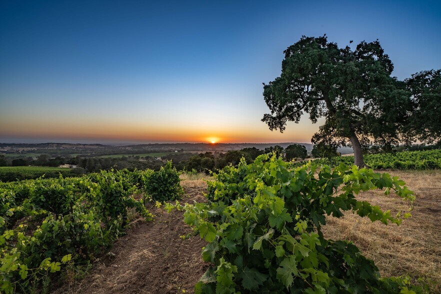 More Photos Of 18550 Silver Oak Ln, Plymouth Land For Sale