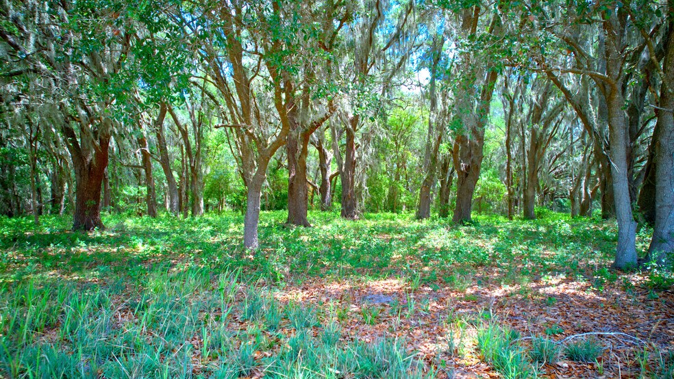 More Photos Of 3267 Neff Lake Rd, Brooksville Land For Sale