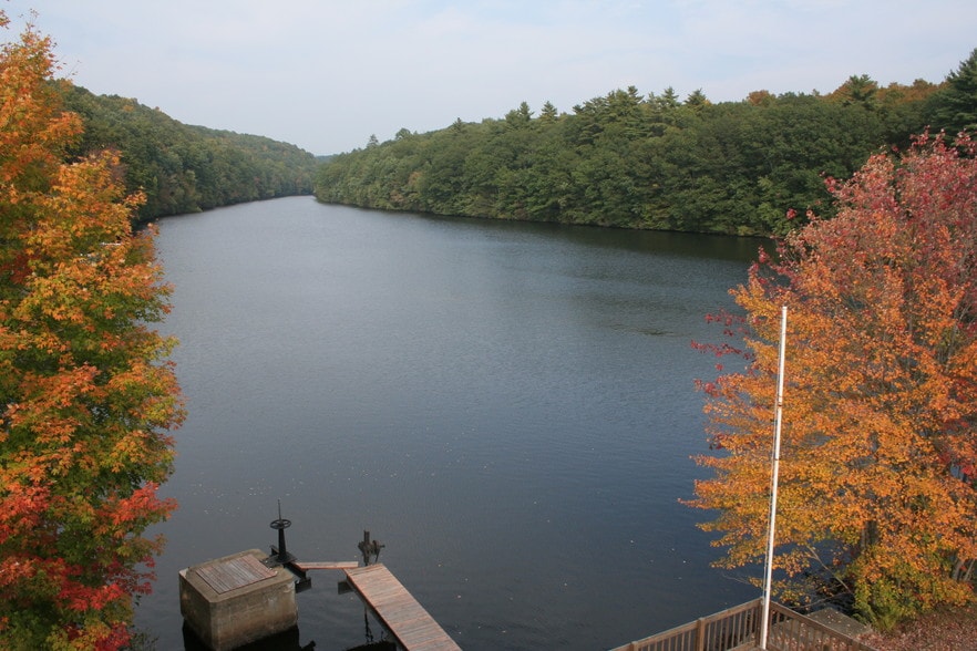 More Photos Of 156 River Rd, Willington Showroom For Sale