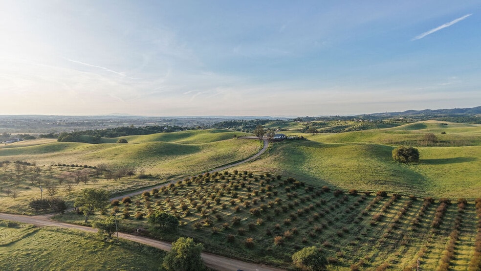 More Photos Of 35 Wellsona Rd, Paso Robles Specialty For Sale