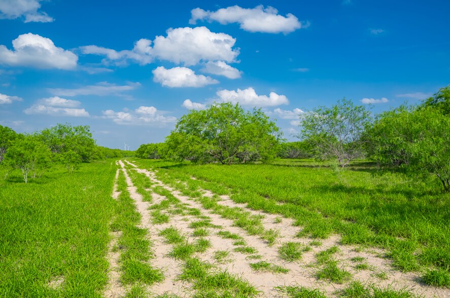 More Photos Of Las Brisas Road, Rio Grande City Land For Sale