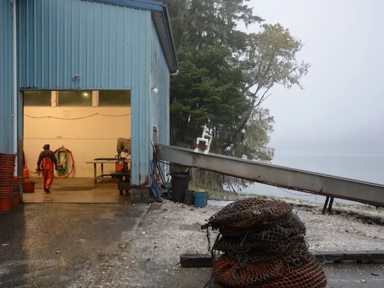 More Photos Of 66234 N Bay Rd, North Bend Food Processing For Sale