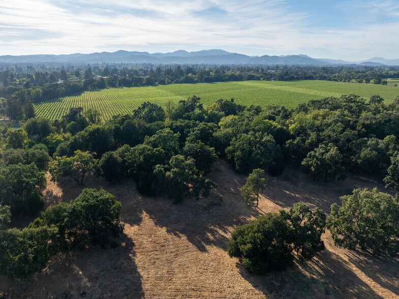 More Photos Of 1866 Silverado Trl, Napa Land For Sale